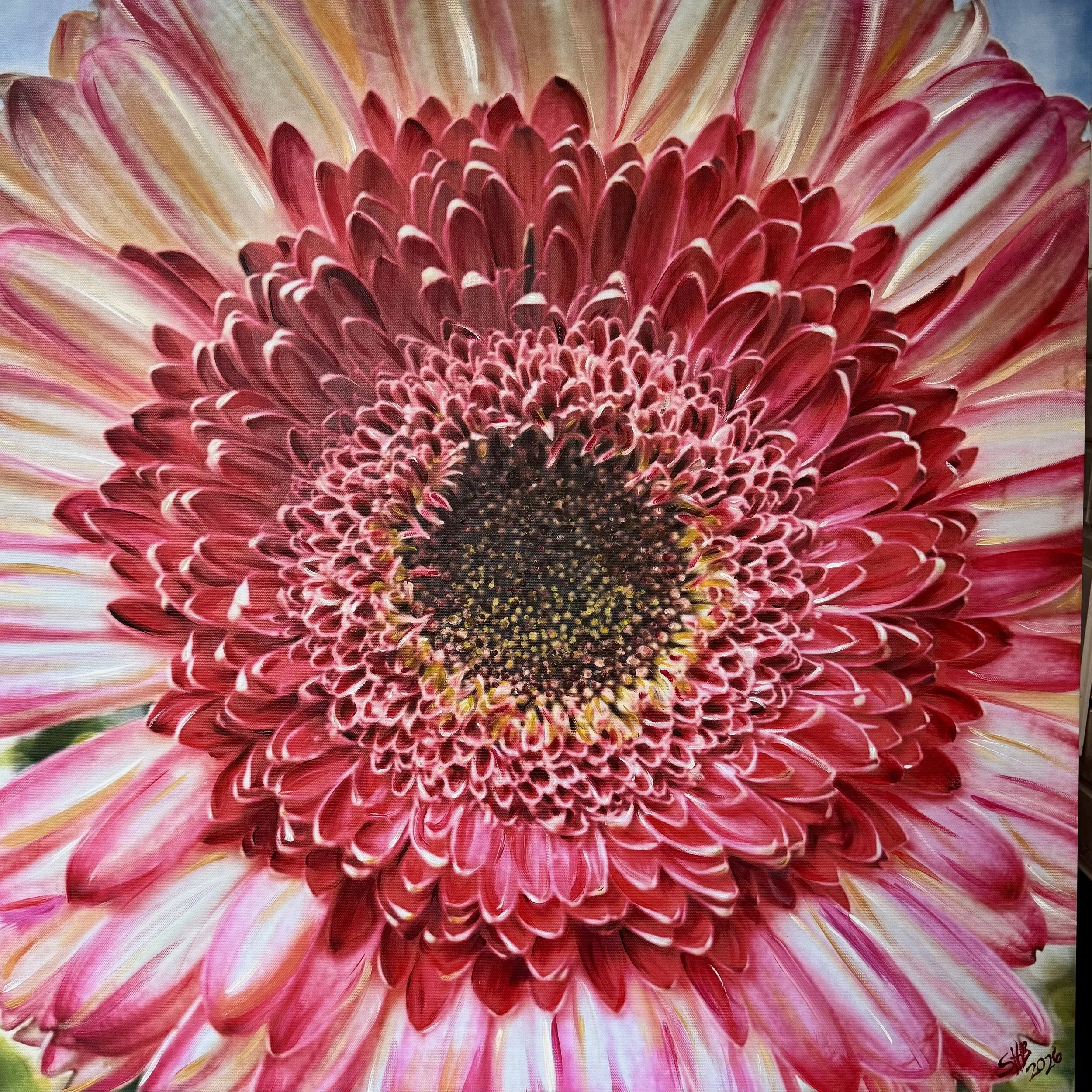 Market Daisy.jpeg