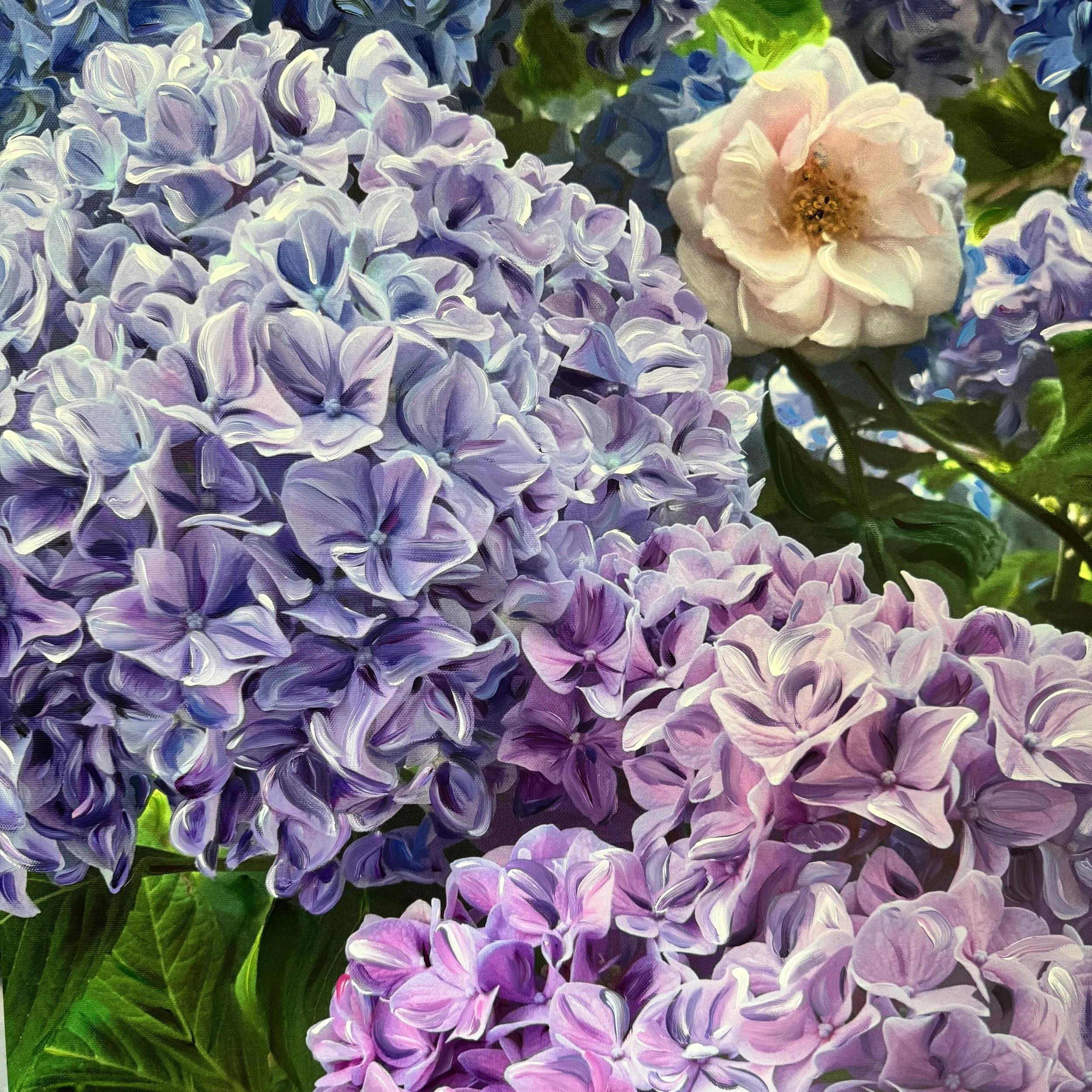 Edgartown Hydrangeas.jpeg