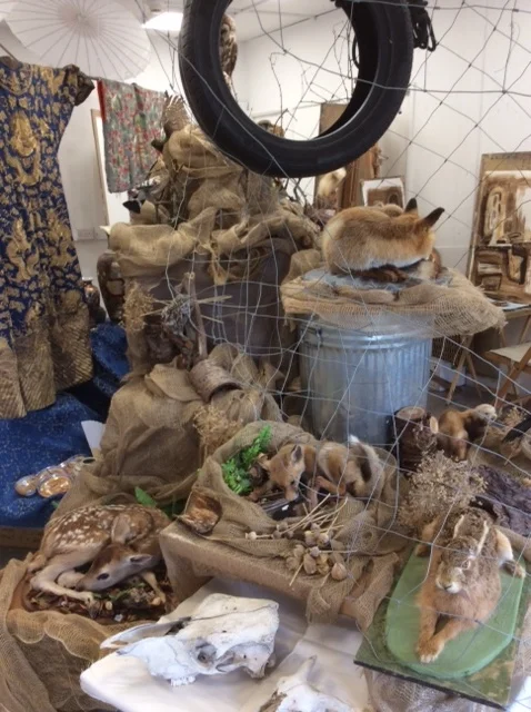 Bugs and beasts workshop