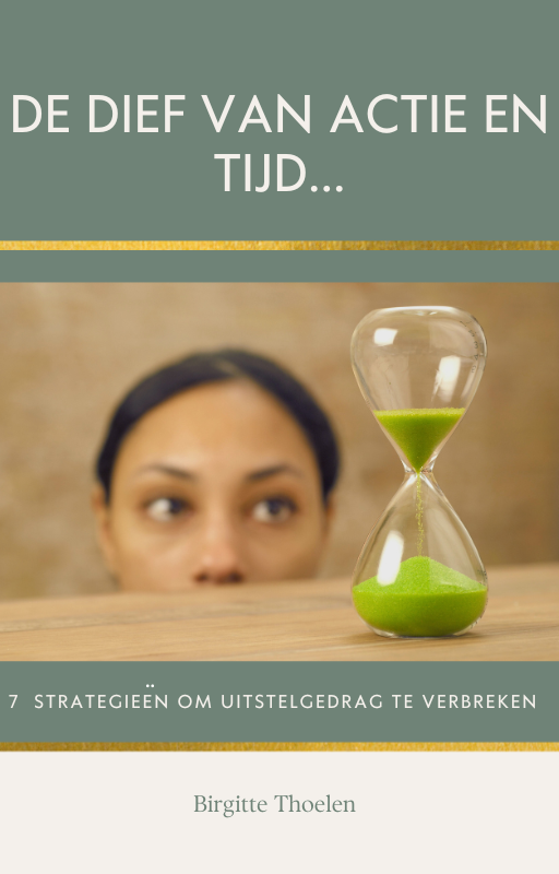 De dief van actie en tijd.png