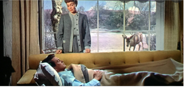    All that Heaven Allows (Sirk, 1955)