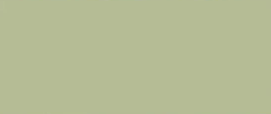 bg-green.png