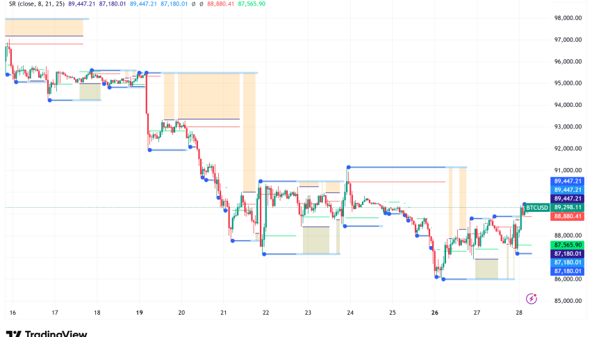 Bitcoin Holds Steady Above $89K as February Rally Signals and Gold Divergence Spark Debate