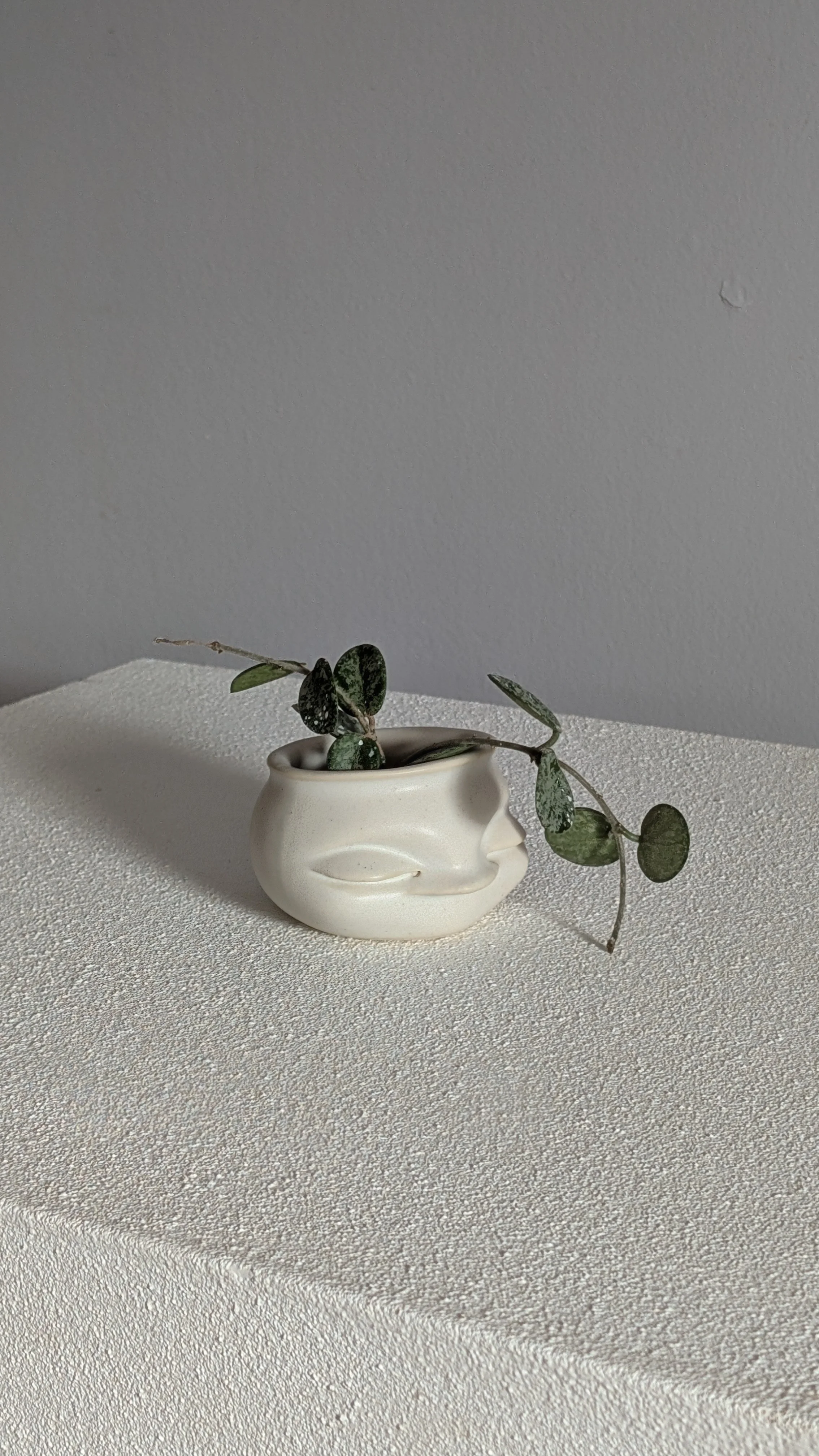 PXL_20260428_173803100.jpg