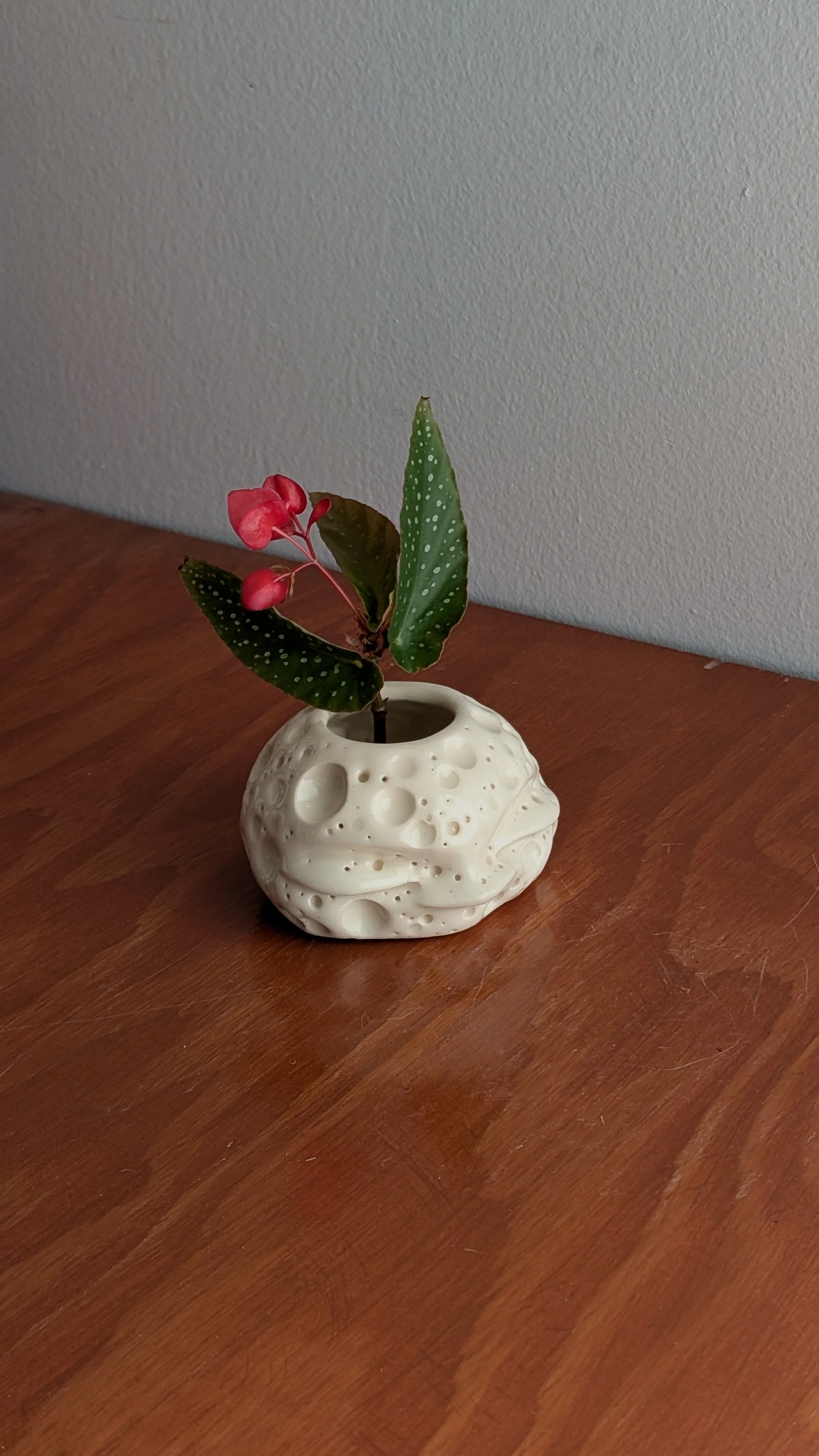 PXL_20260924_153129390.jpg