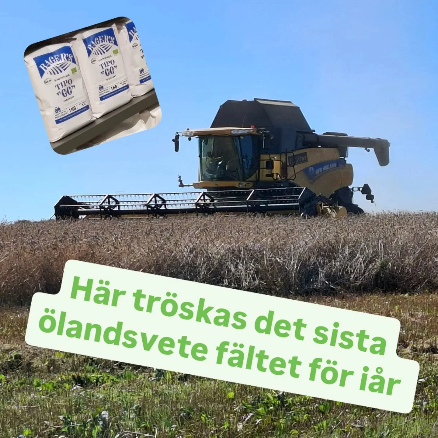 H&auml;r tr&ouml;skas det &ouml;landsvete i Blentarp. Det ska bli TIPO 00. Snus tort innan regnet😃