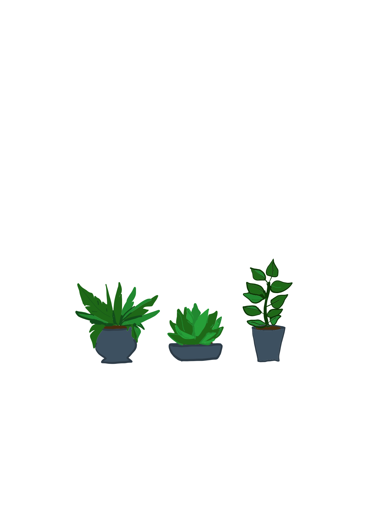 plant-1.gif