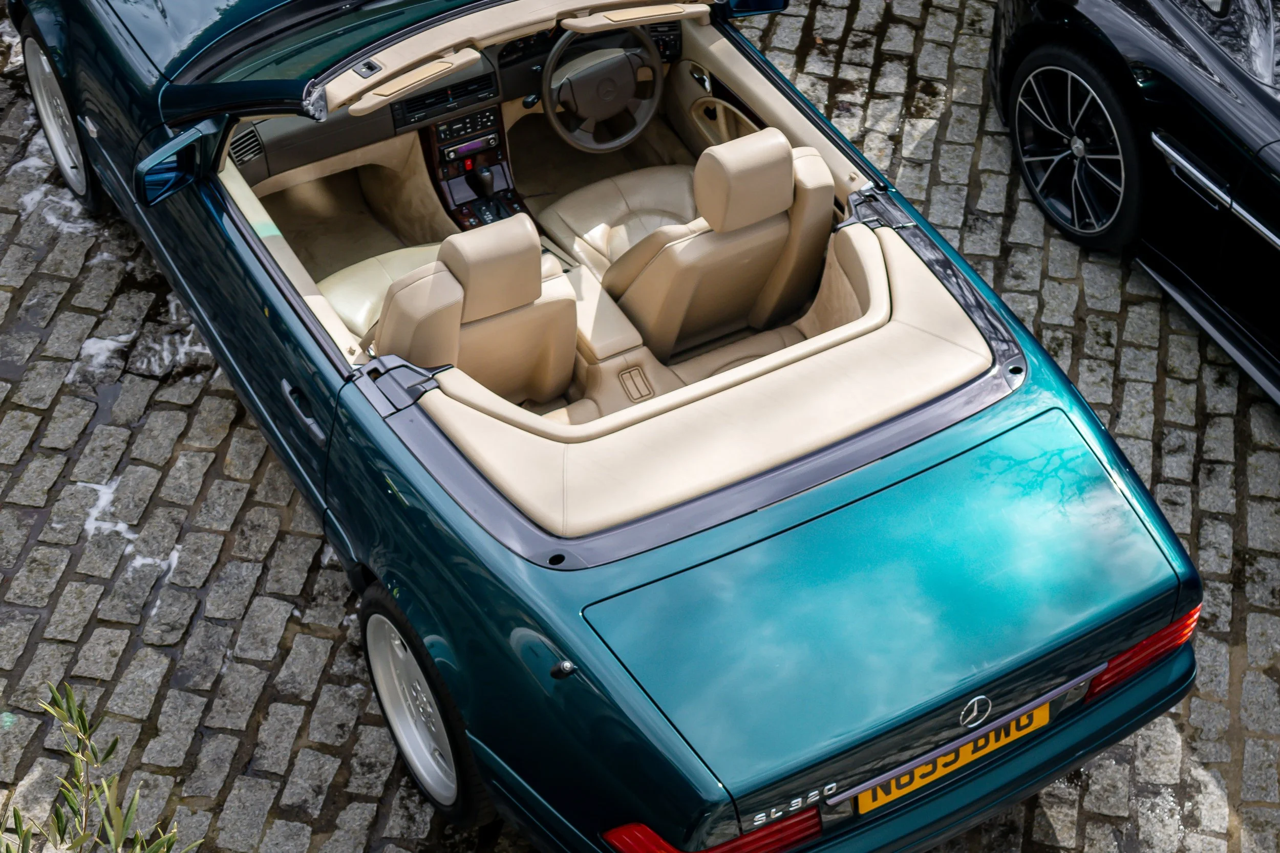 9A5A3738.JPG