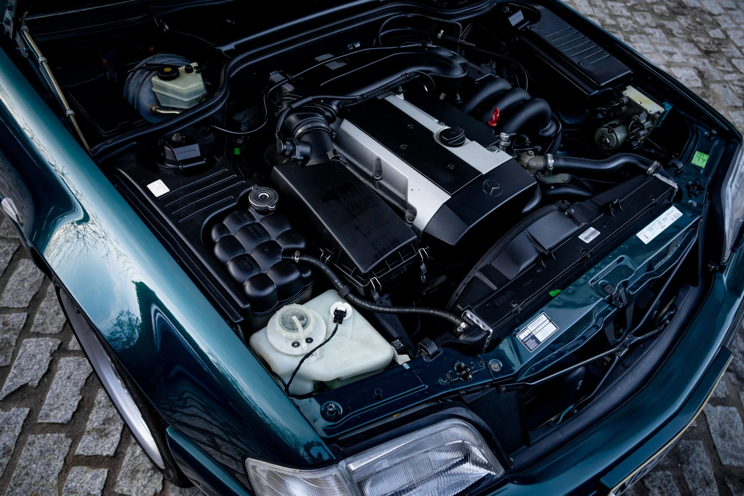 9A5A4188.JPG