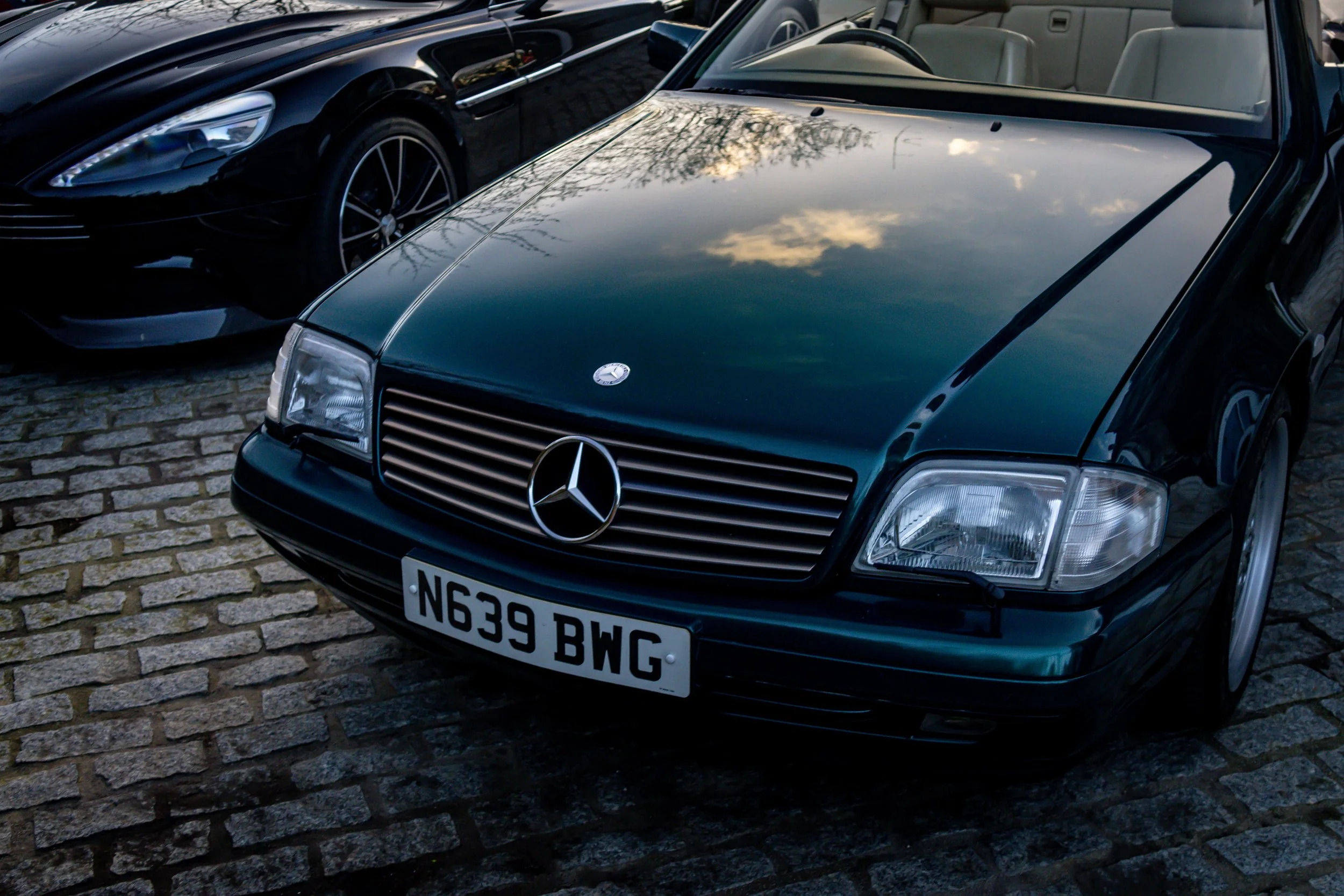 9A5A4111.JPG