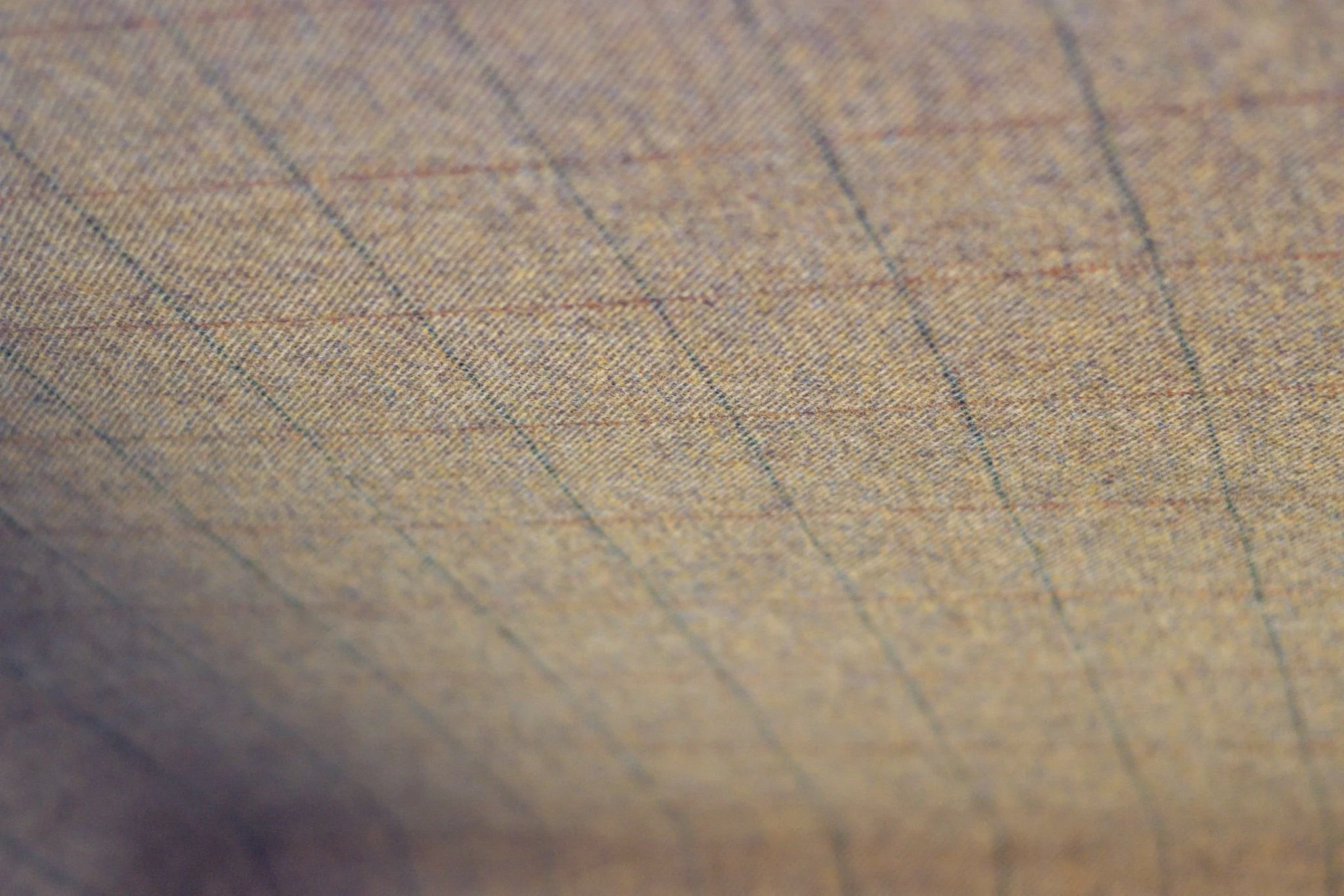 PHOTO-2026-02-25-12-00-33 6.jpg