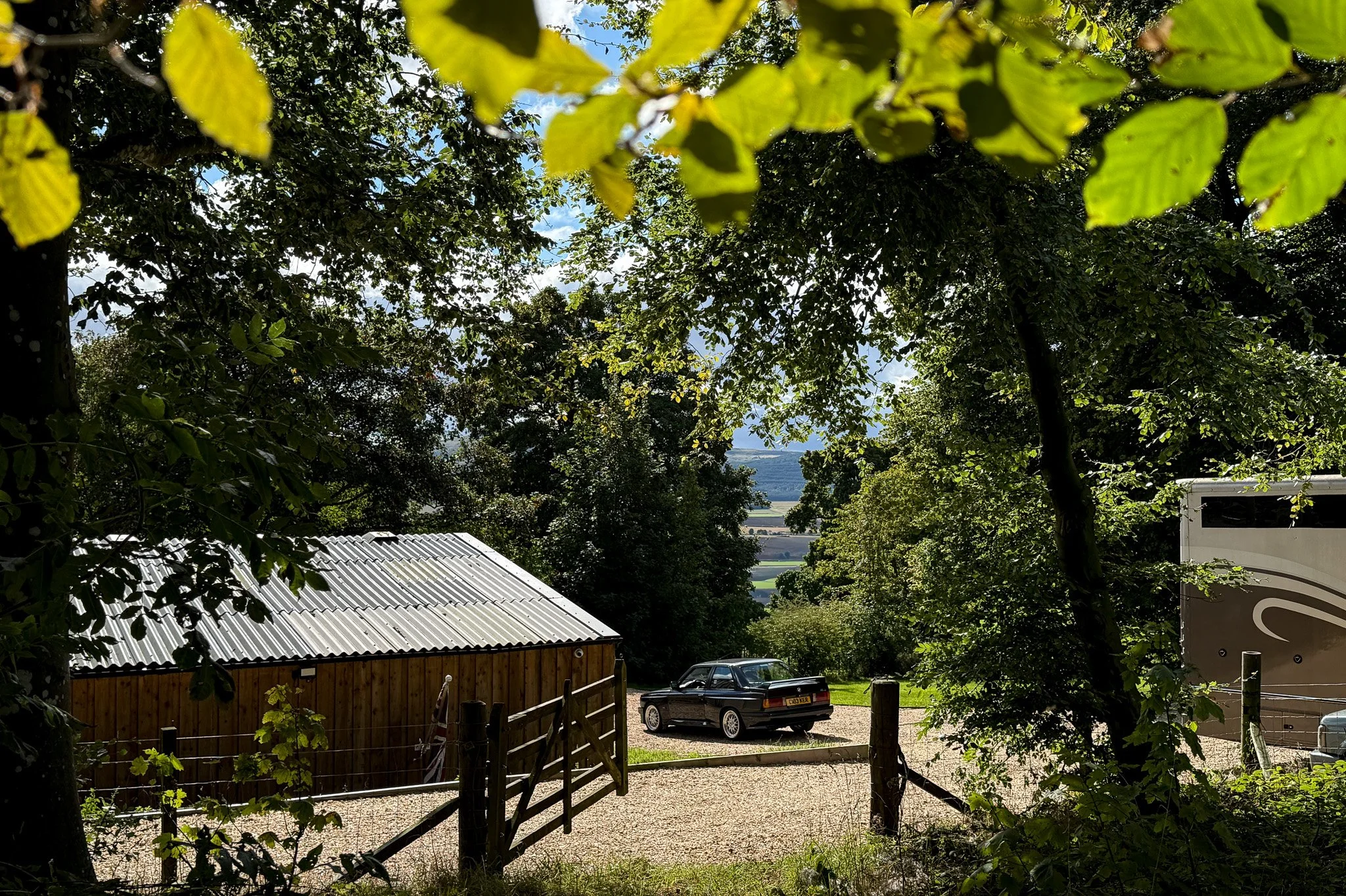 IMG_4835.jpg