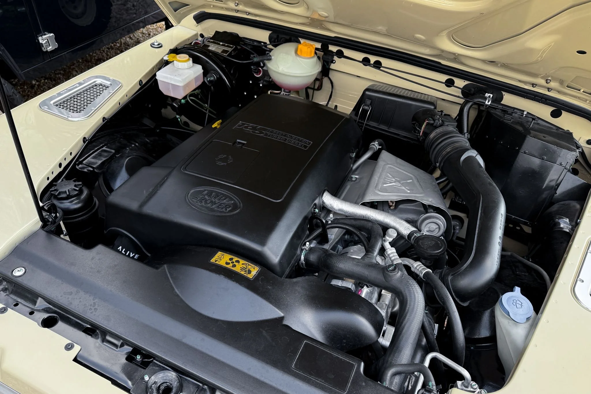 PHOTO-2026-03-02-17-16-51 2.jpg