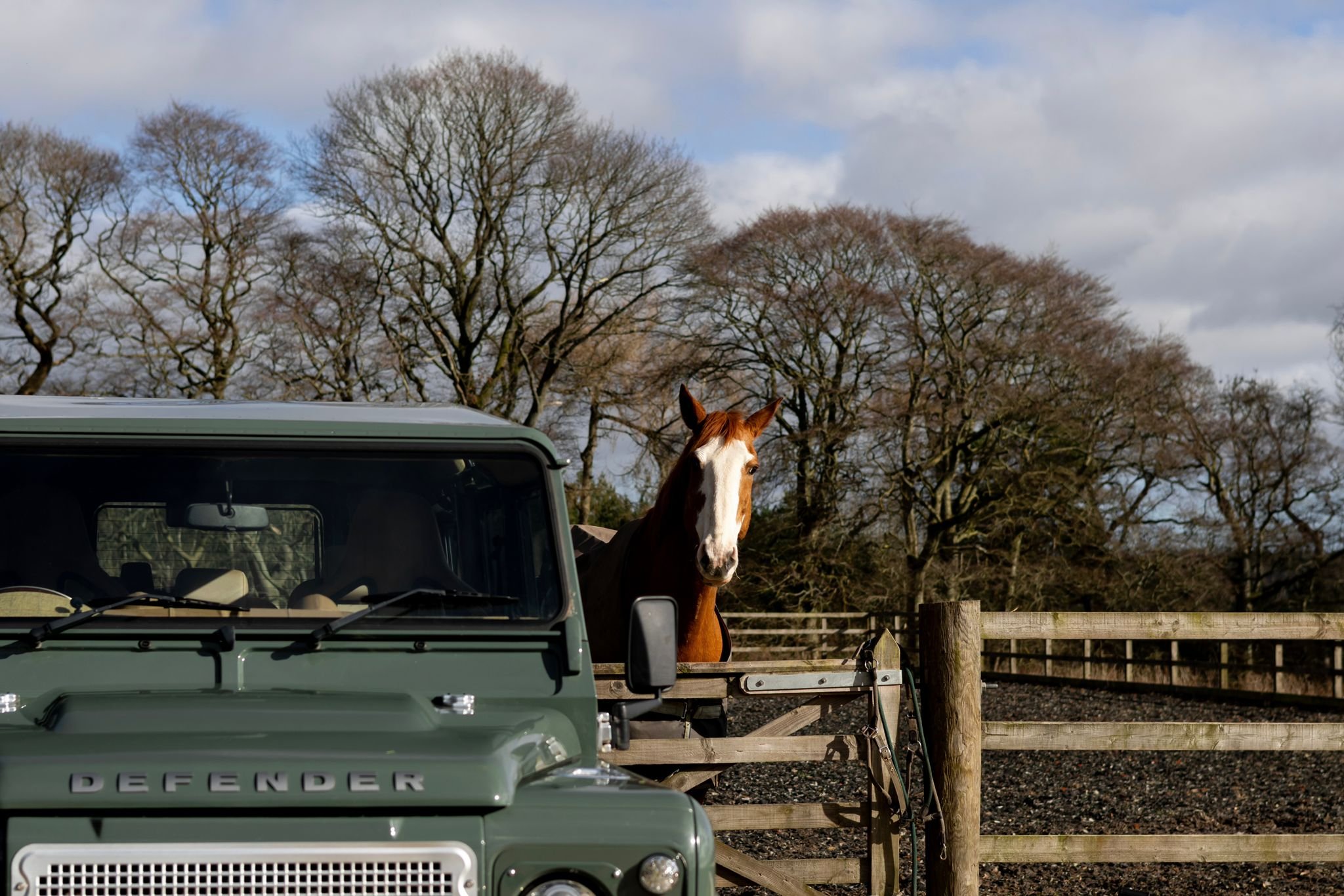 PHOTO-2026-02-27-13-24-34 17.jpg