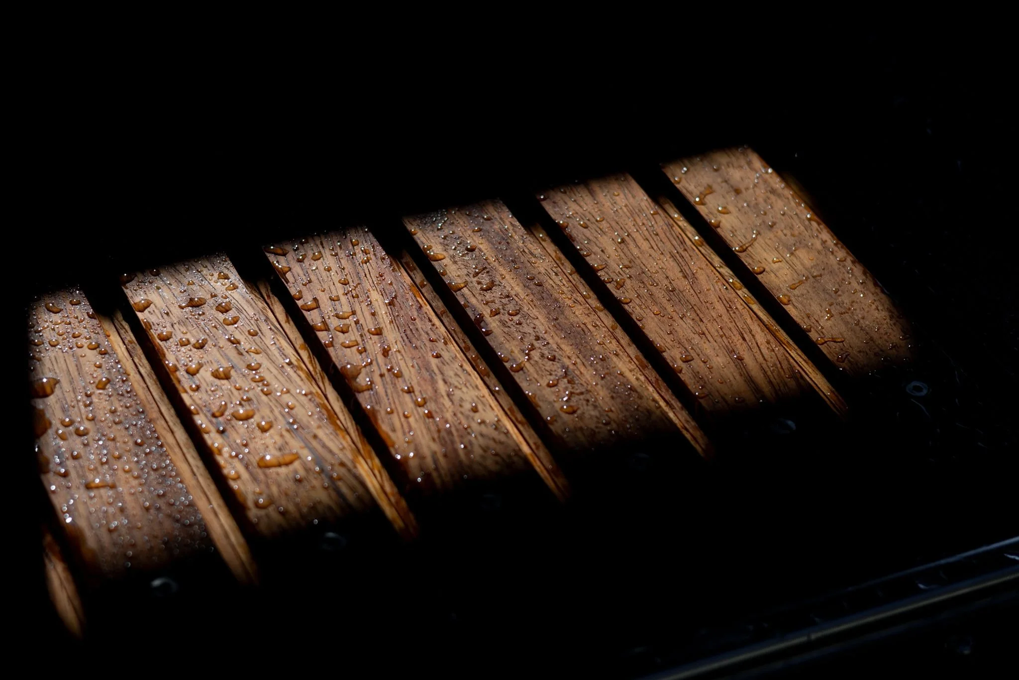 PHOTO-2026-03-03-17-21-44 2.jpg