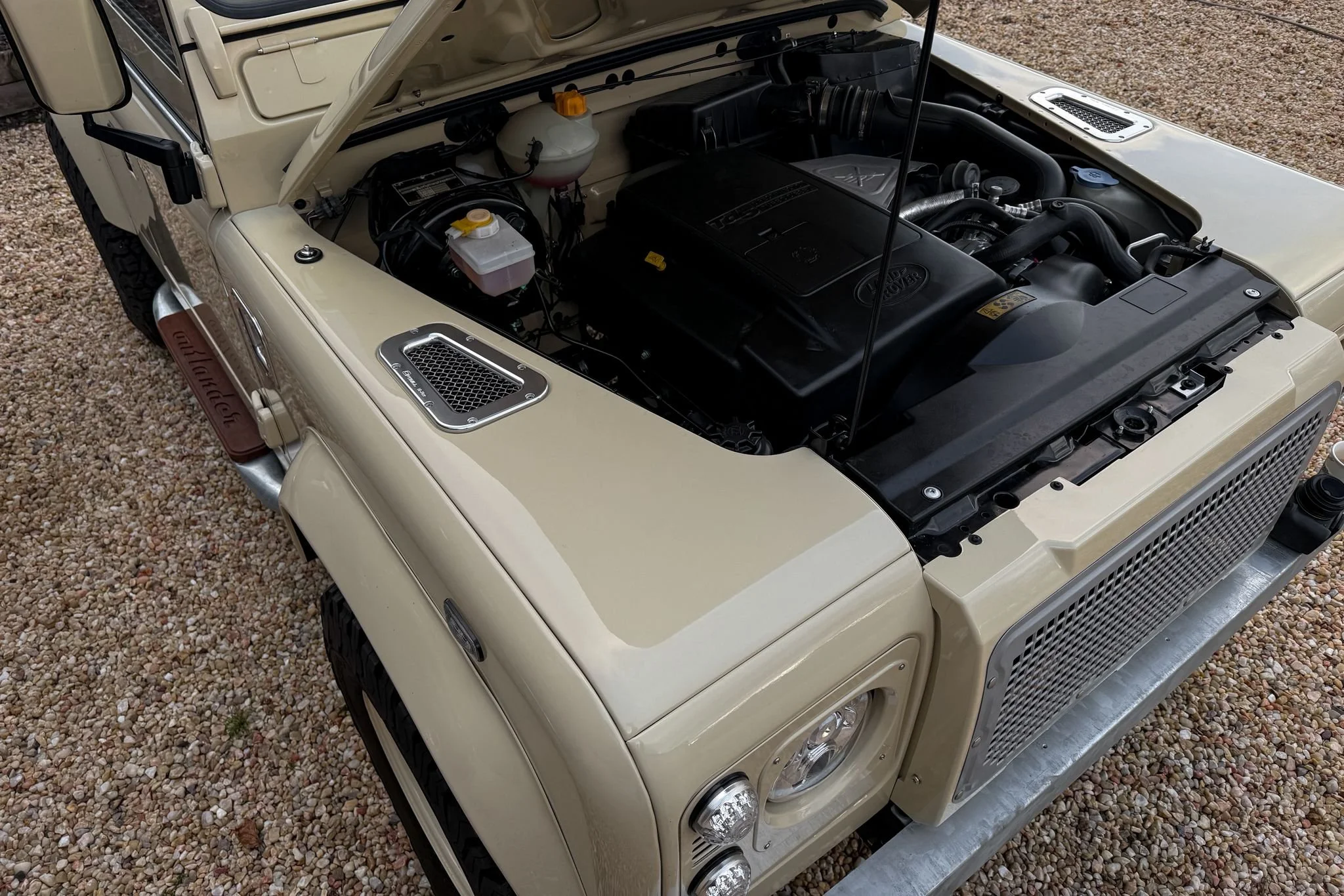 PHOTO-2026-03-02-17-16-51 3.jpg