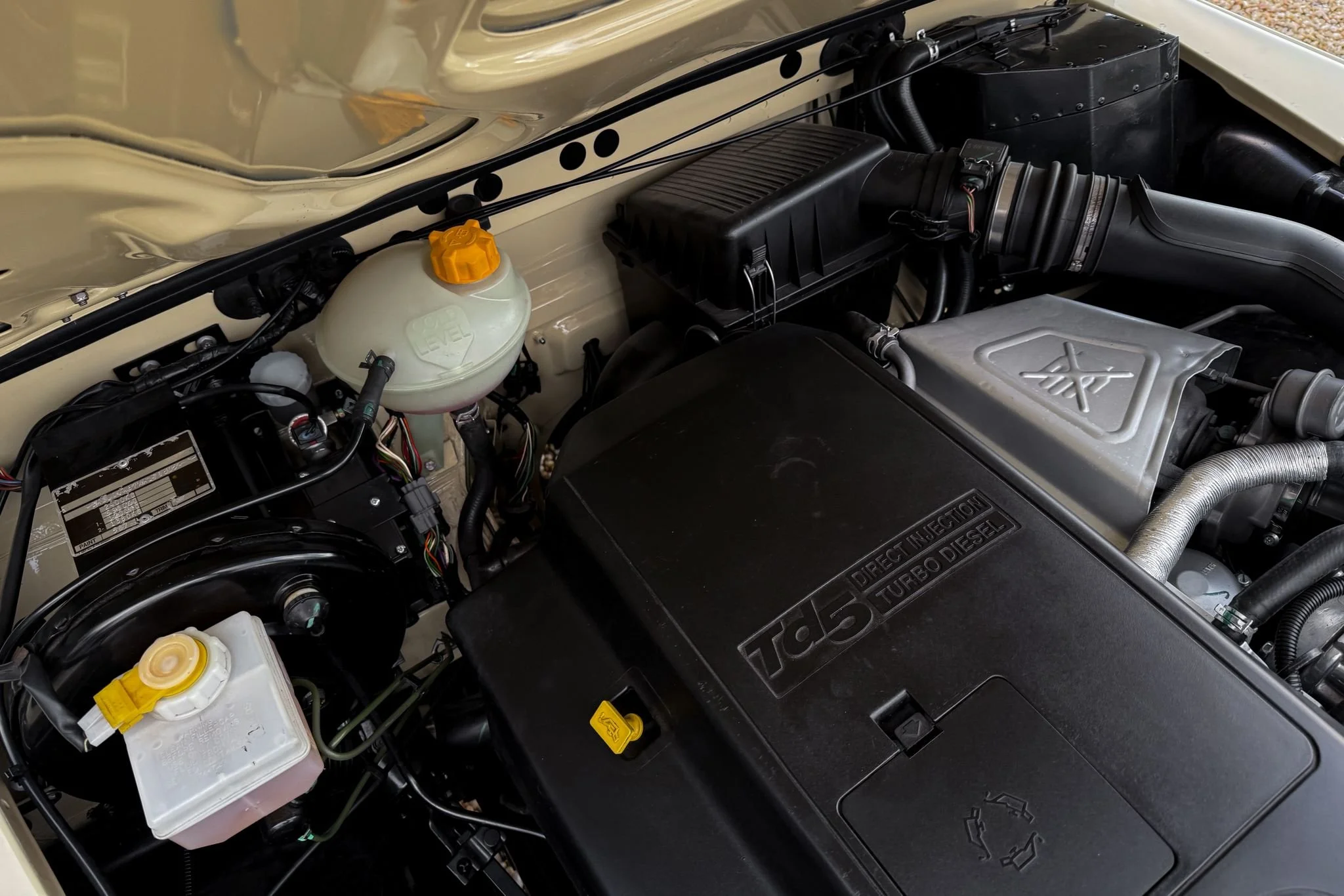 PHOTO-2026-03-02-17-16-51 4.jpg