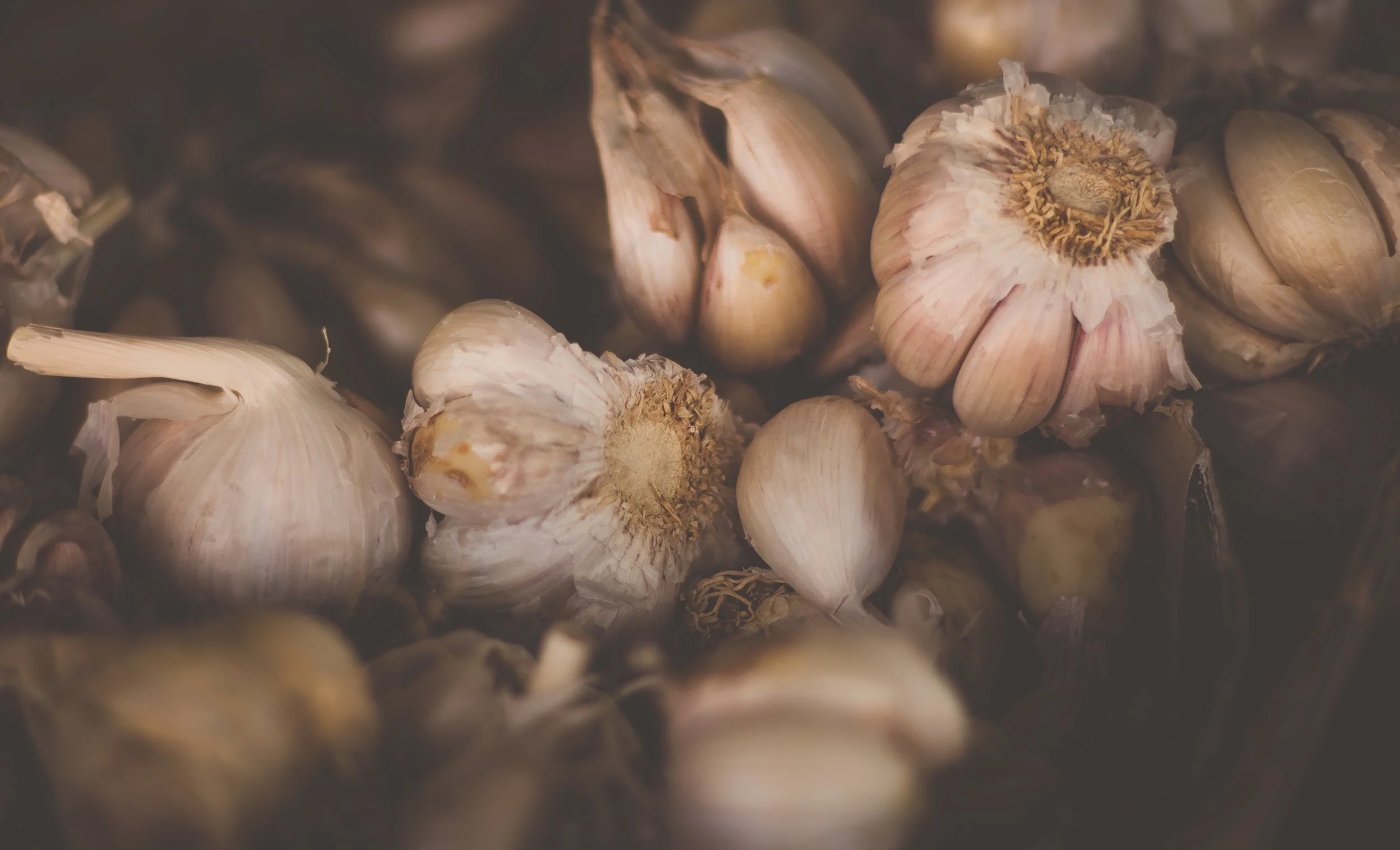 Are You A Fan Of Garlic? So Are We!
