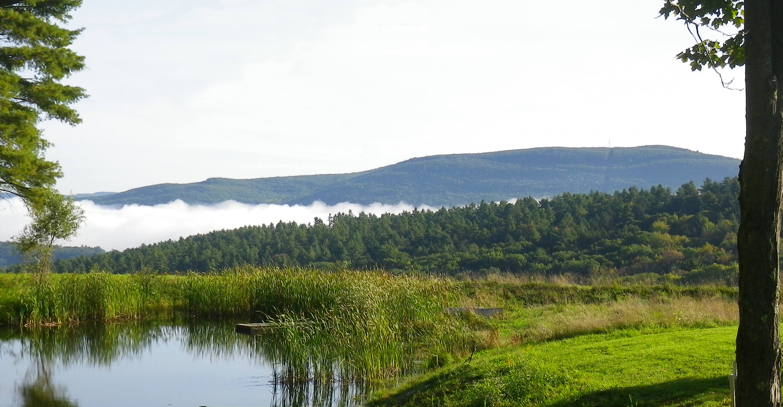 Hilltop Pond.jpg