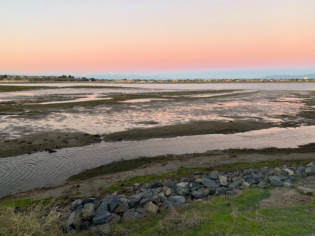 "Bolsa Chica Wetlands"