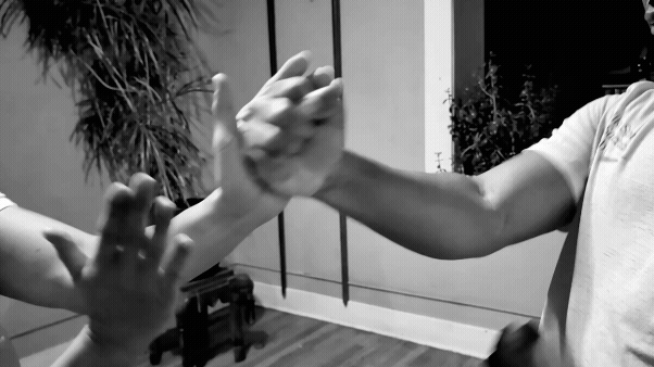 Denver Kung Fu - Ving Tsun (wing chun) in the Yip Man lineage.
