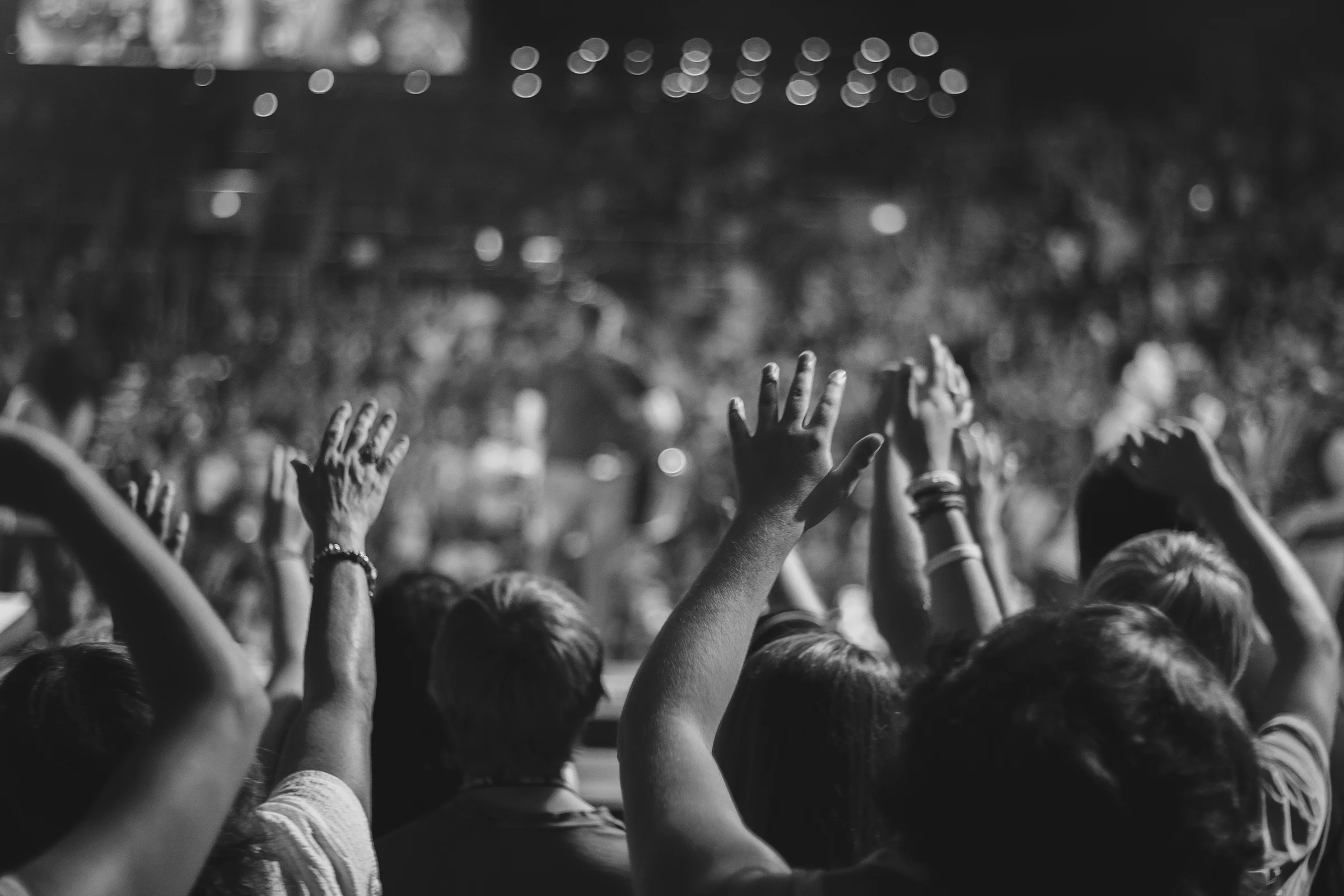 banner6.jpg