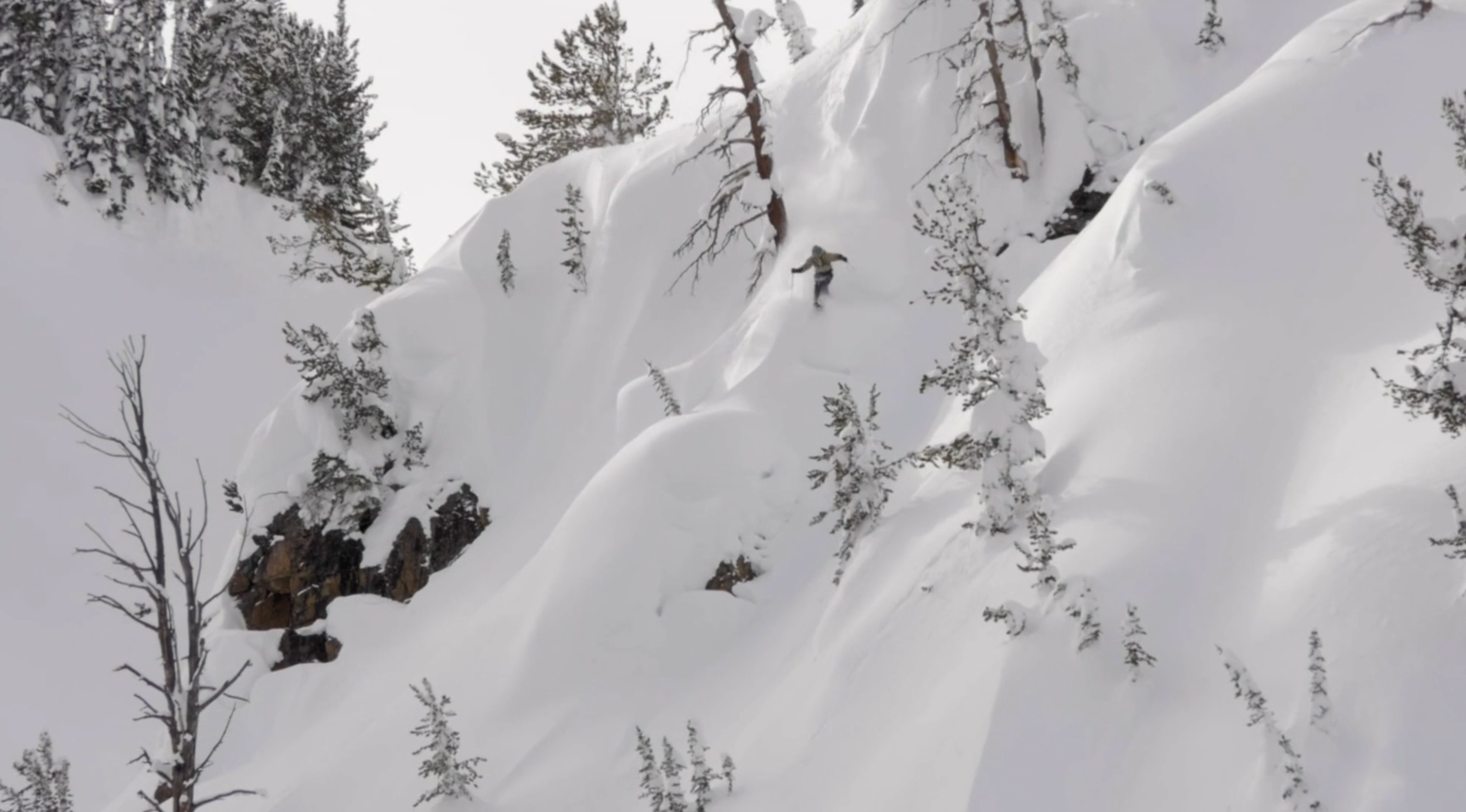 Screen Shot 2019-08-21 at 1.24.46 PM.png