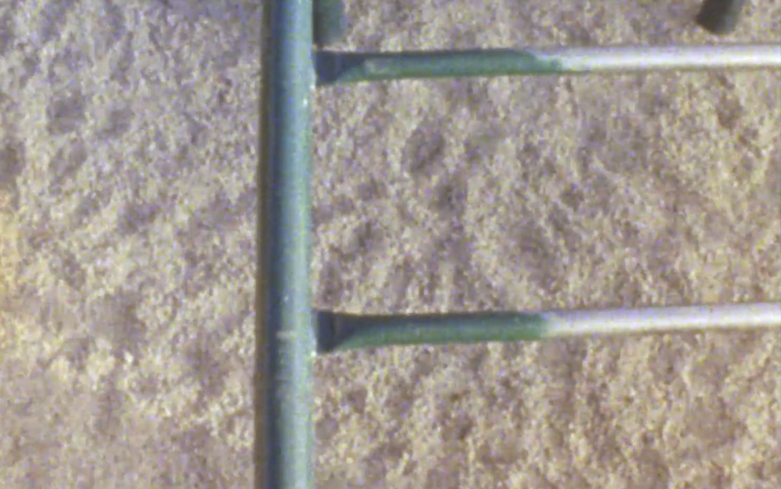 Screen Shot 2019-08-21 at 2.08.07 PM.png