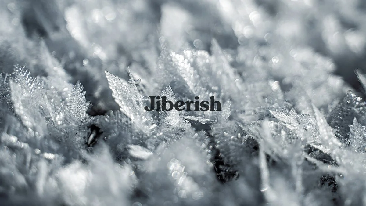 Jiberish February 2022 Lookbook