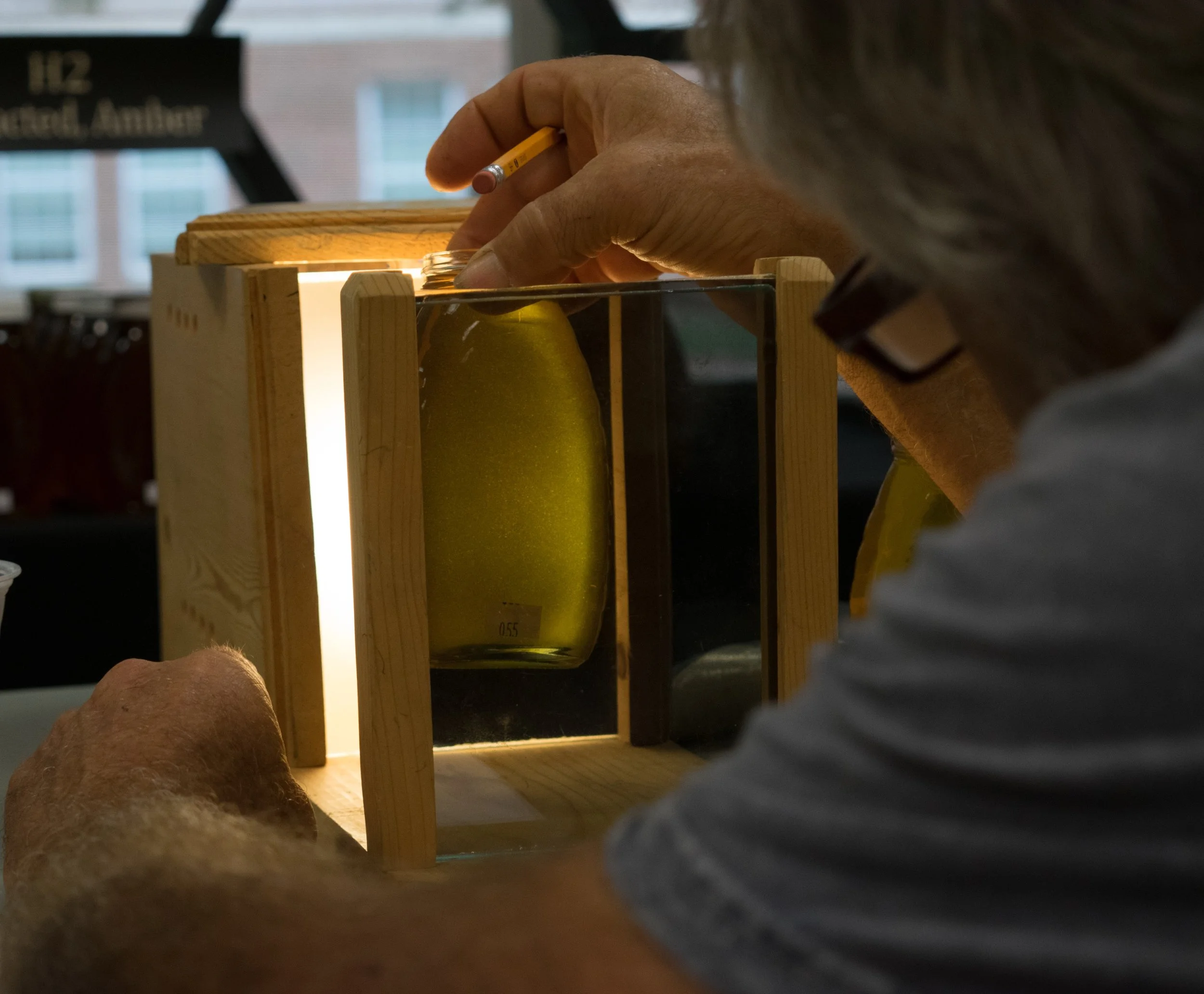 Honey in Polariscope.jpg