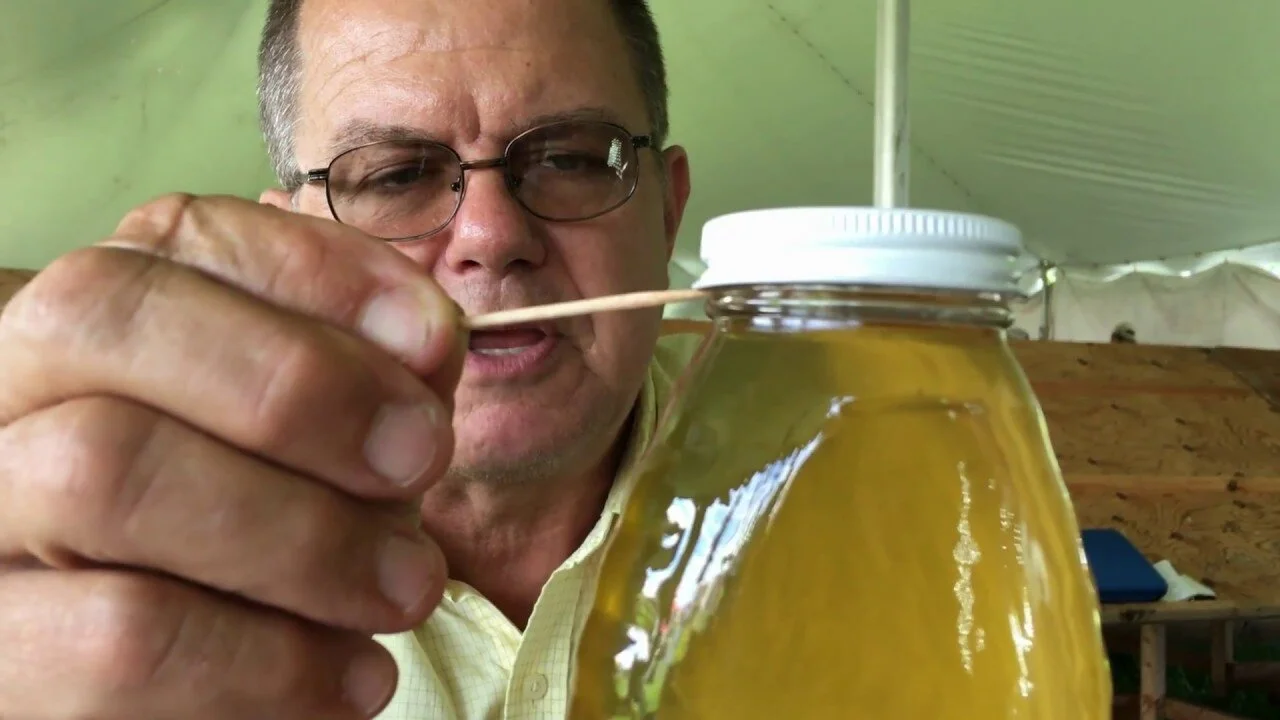Tim Schuler Judging a Honey Show (Brief Overview with No Narration)