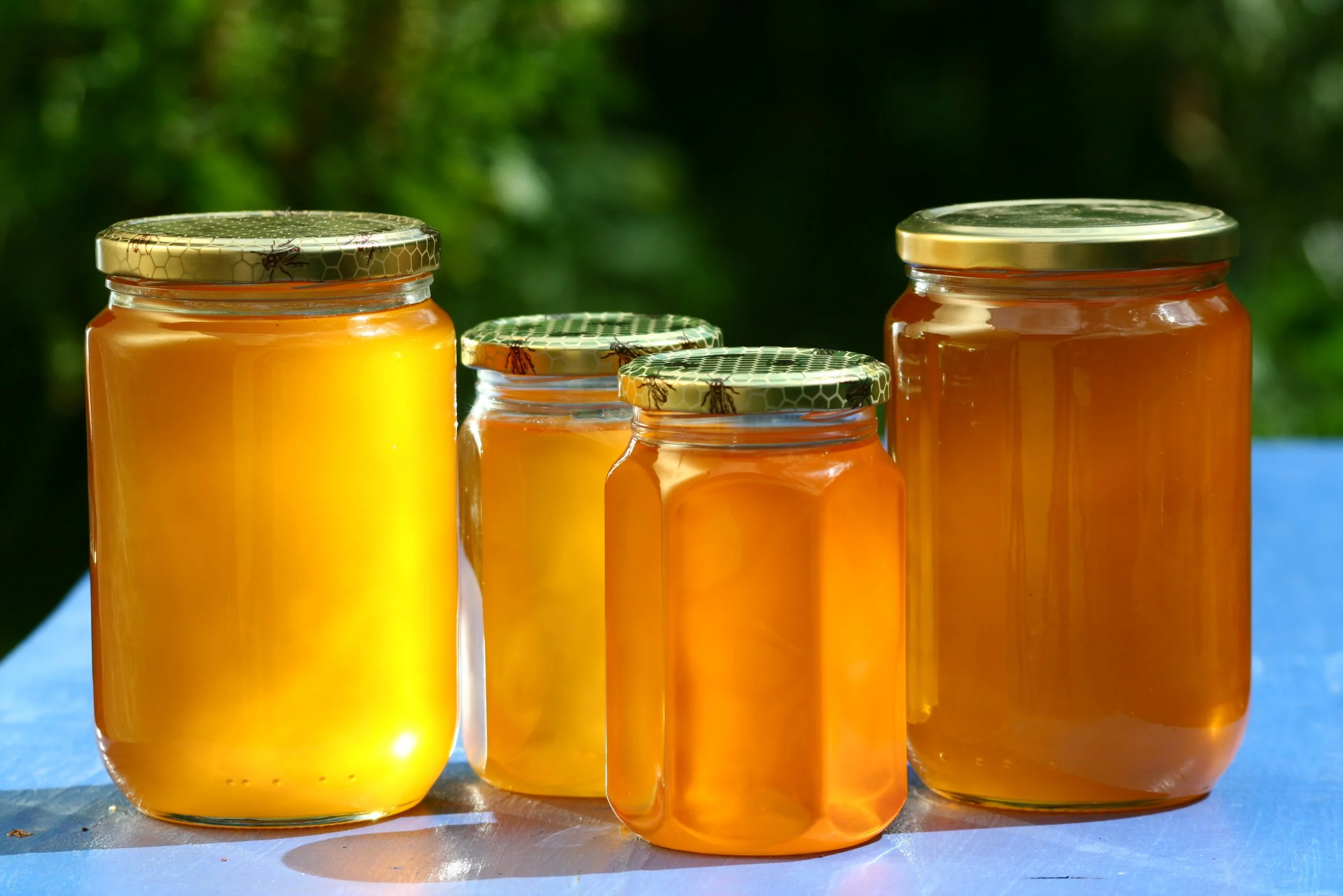 Honey from harvest to the honey show bench with Jennifer Holmes
