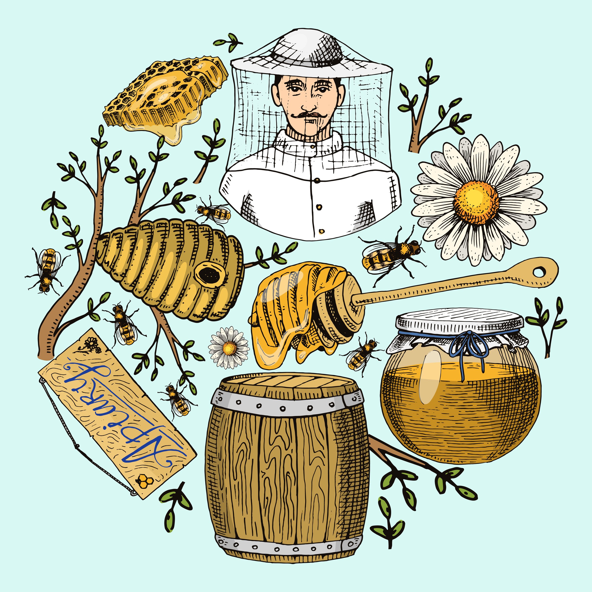 Honey History