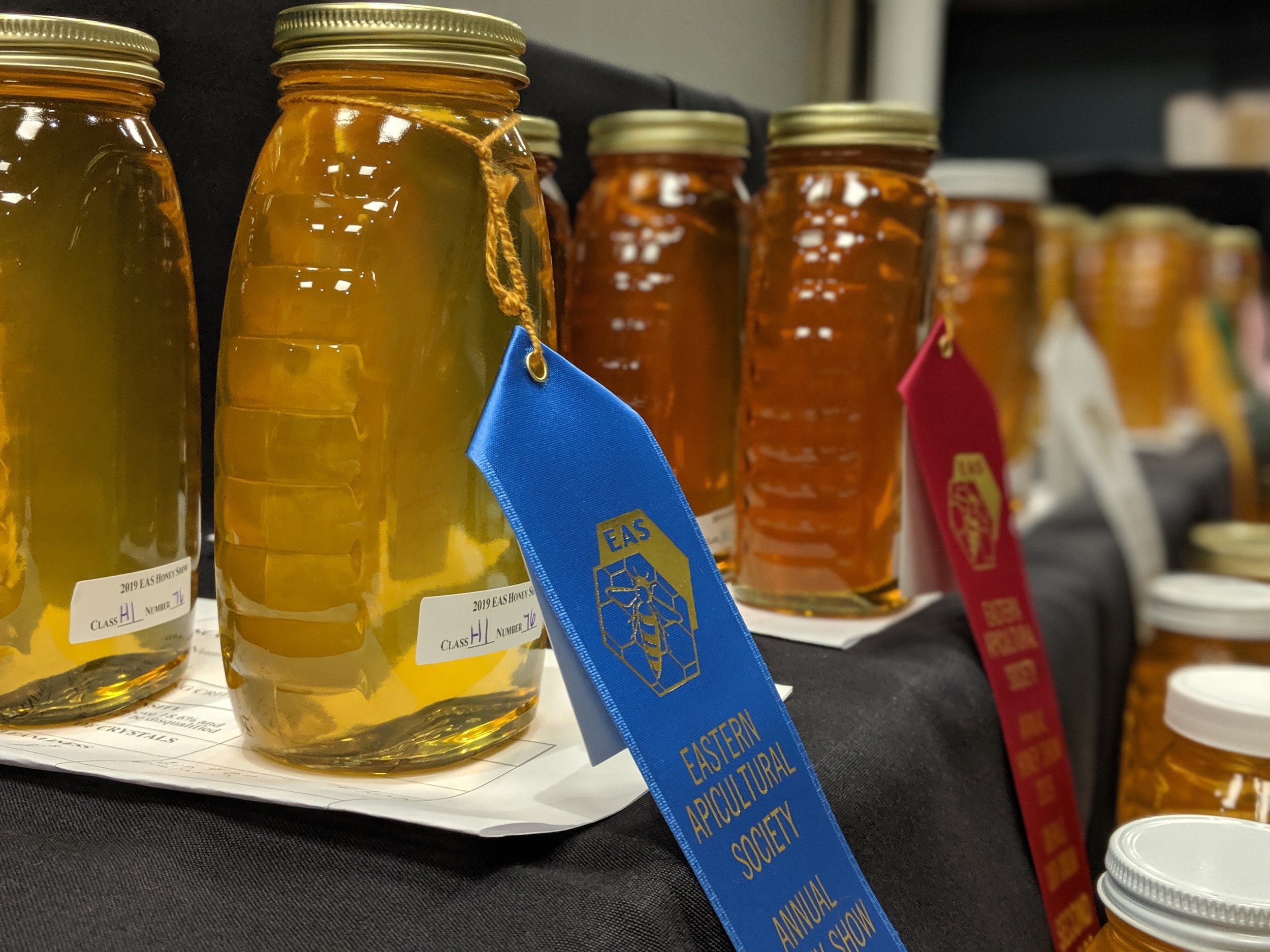 VA: Fairfax County Honey Show Youth &amp; Adult