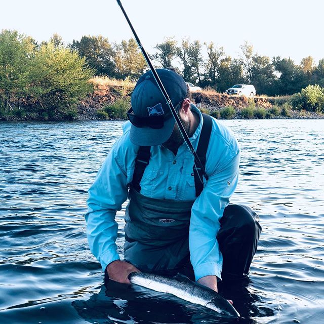 Been a great week guiding on the Rogue and got to sneak out to swing a run before work this morning to stick one myself!  #spey #speyfishing #swingingflies #steelhead #flyfishing #flyshop #thetugisthedrug #guidelife #shopdays #rogueriver #southernore