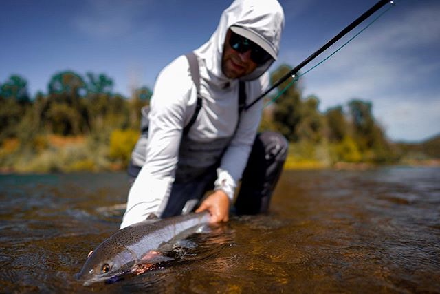 It&rsquo;s without a doubt, 100% Summer Steelhead season on the Rogue River! Hooking these gorgeous fish everyday now. Get at us for a beautiful day on the Rogue and let us help you land some steel. We have new @winstonrods , @sageflyfish and @reding