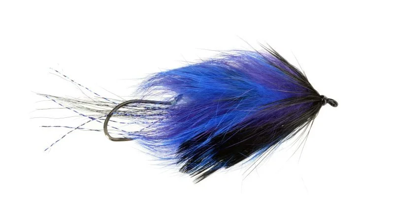 Northern Lights - Black/Blue Size #2