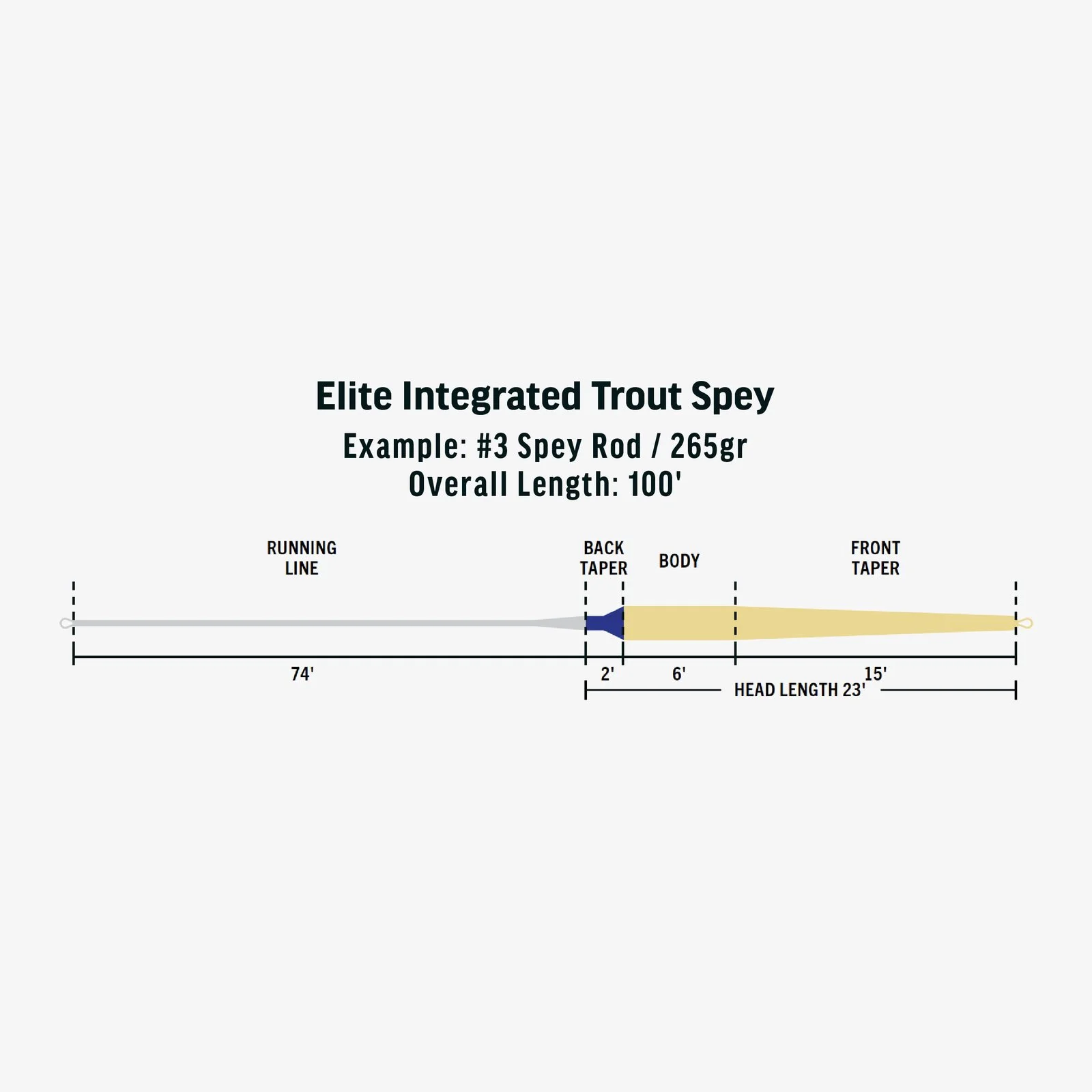 rio trout spey fly line