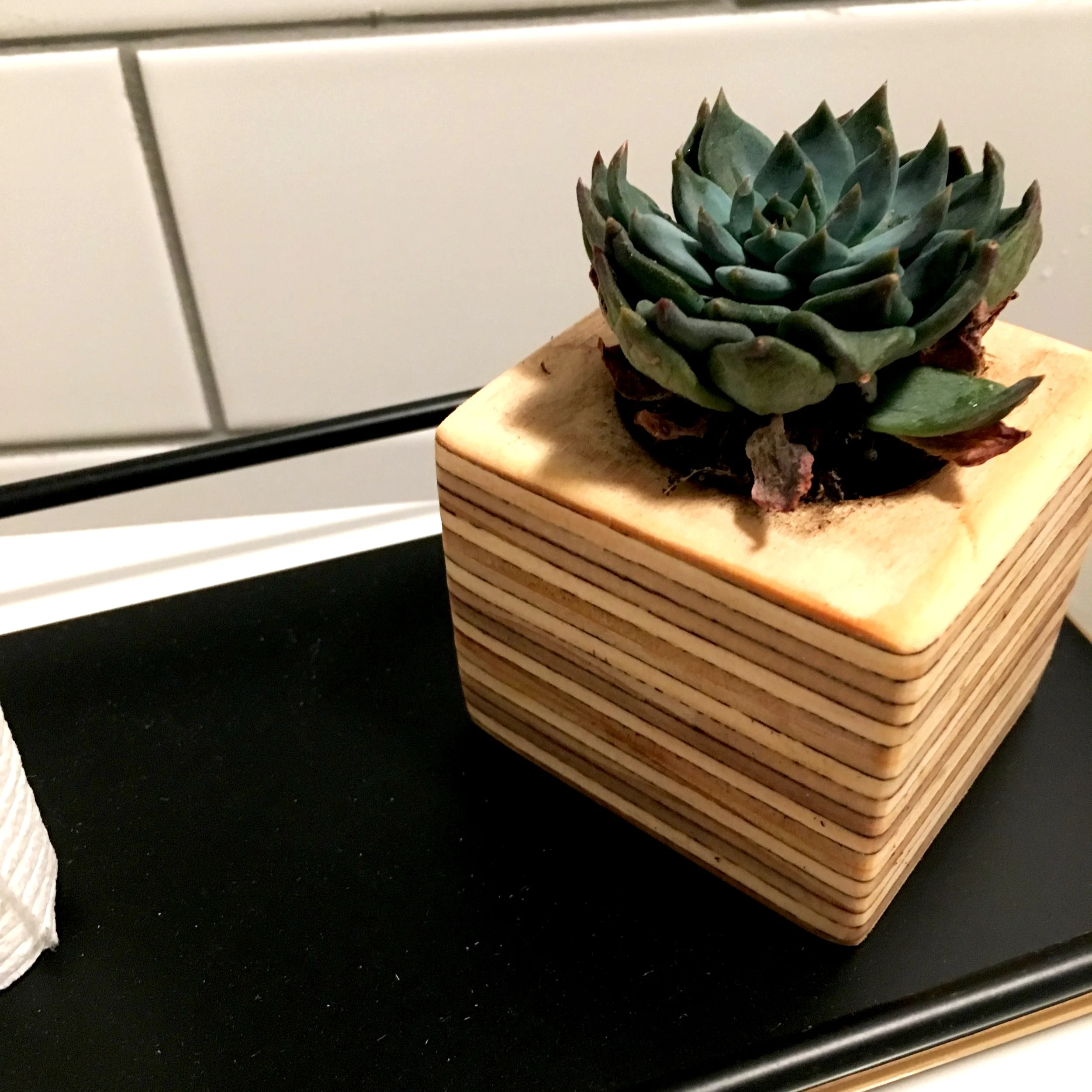 smalls - succulent planter
