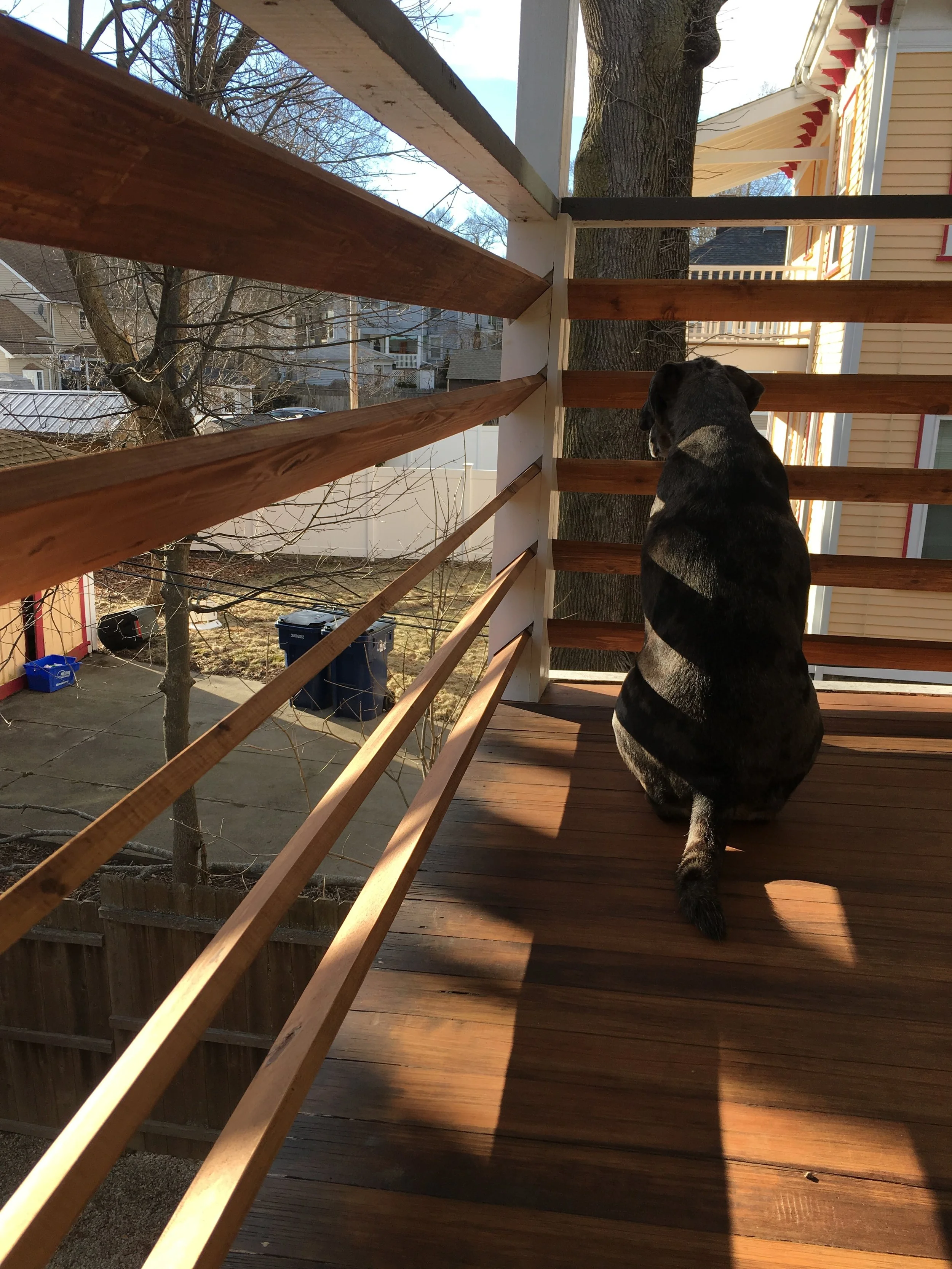 Porch Railings - Cedar, teak oil