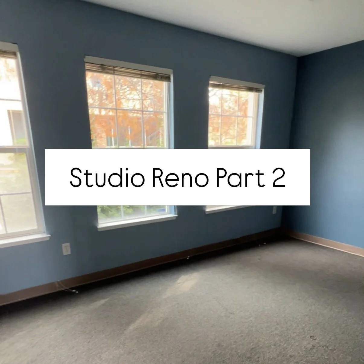 Phew! I don&rsquo;t know what took longer, this renovation or making this post 😆 Welcome to the details of my studio renovation!

✨roseville california brow artist specializing in natural pmu, waxing, lamination, and tint✨
&bull;
&bull;
&bull;
#sacr