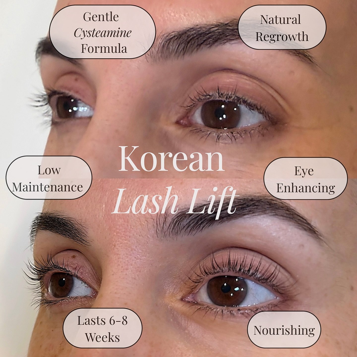 Launching May 1st! I will be offering $90 promo pricing for Korean Lash Lifts that are booked for May &amp; June. After that, standard pricing will be set at $110. So set your alarms and get your spots!

✨roseville california brow artist specializing