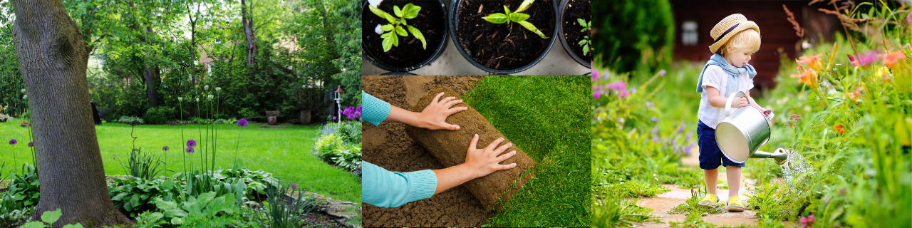 5 tips på vinterfix inför din vårträdgård.