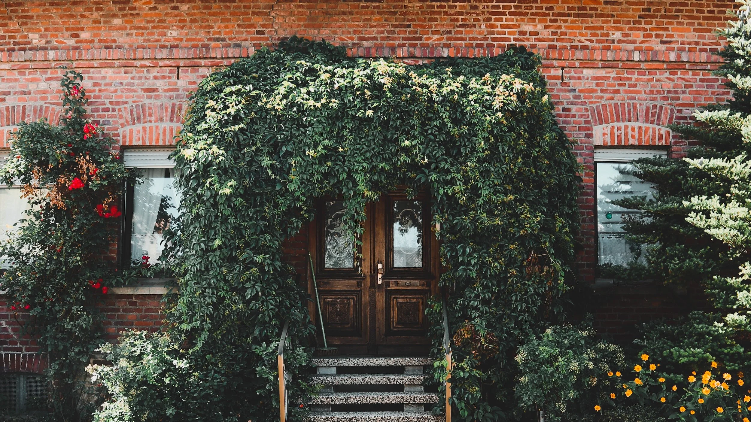 Börja med entrén, hur vill du känna i 2023 års trädgård?