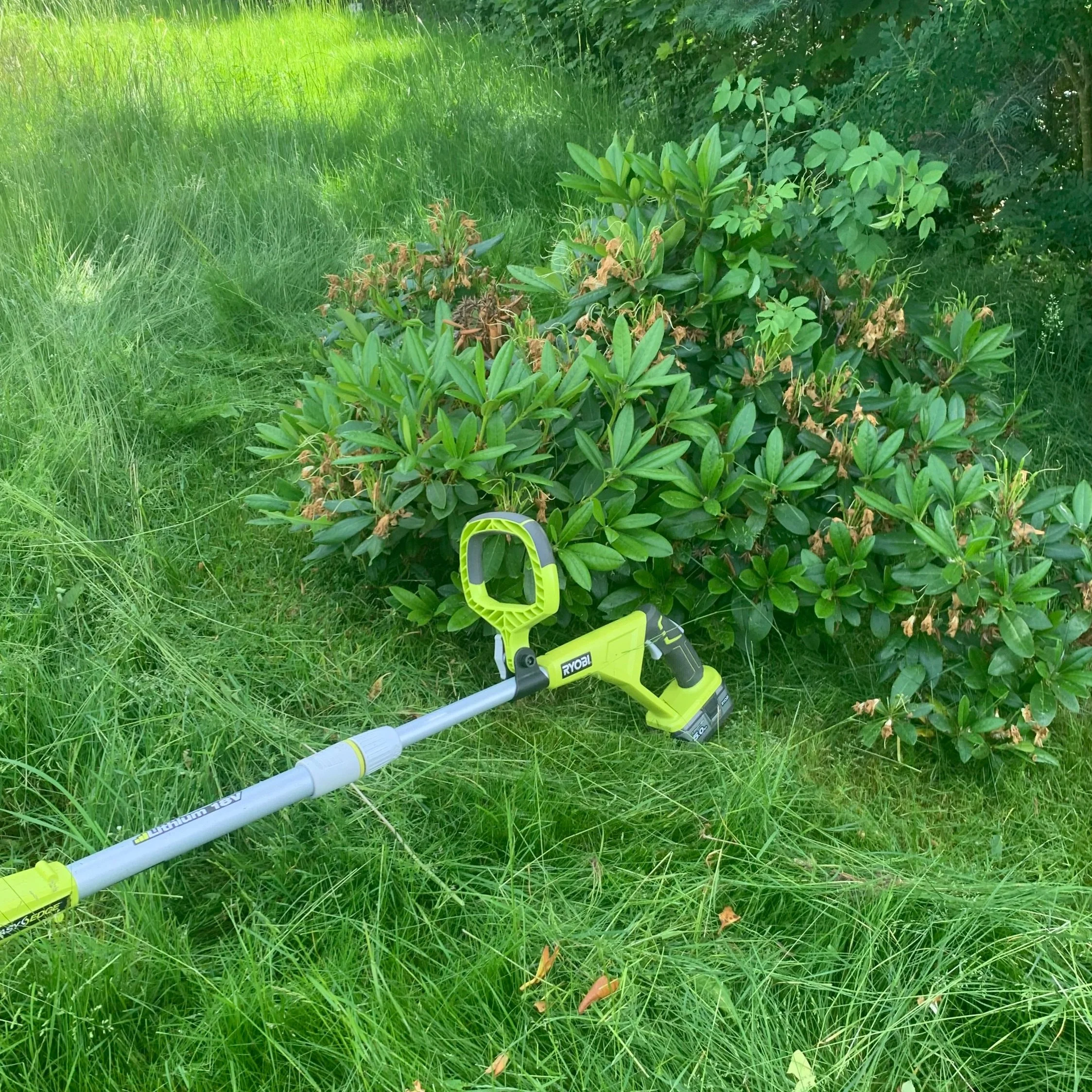 Den önskade trädgårdskänslan.