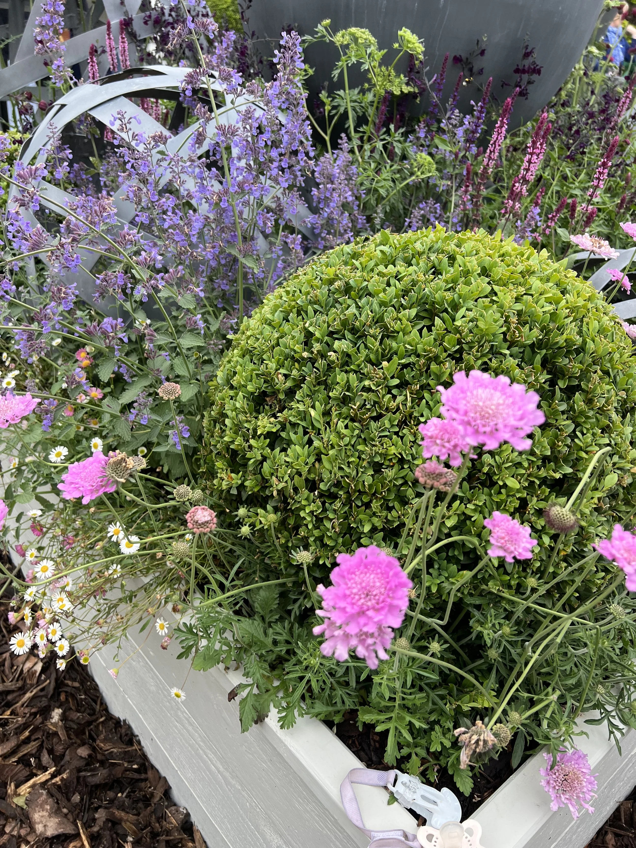 Se över växters mående har flera värdefulla fördelar