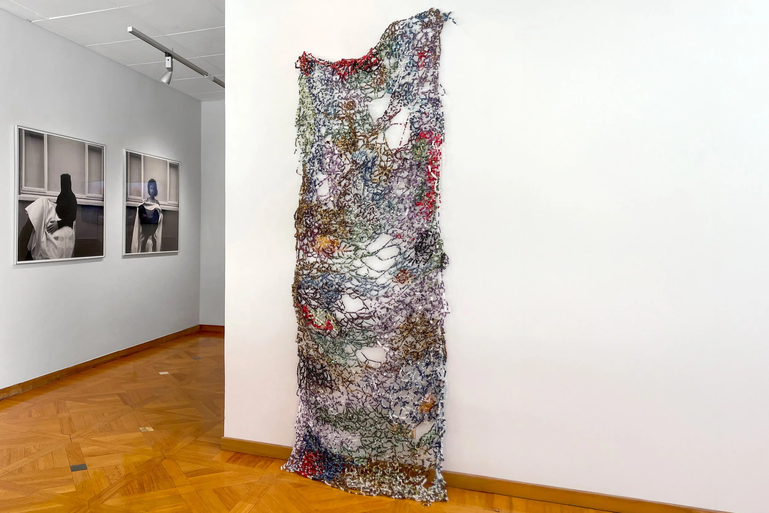 Between Flesh and Reflection Landscape (2).jpg