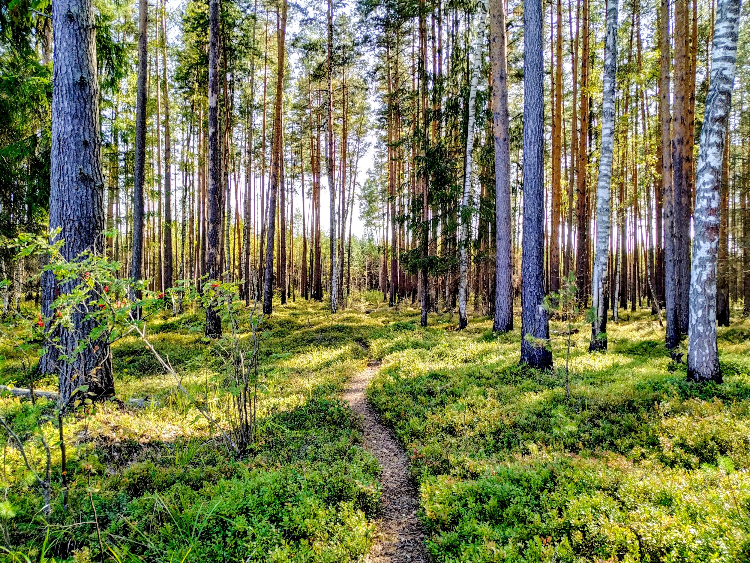 How to Keep Going When It Feels Like You Can't