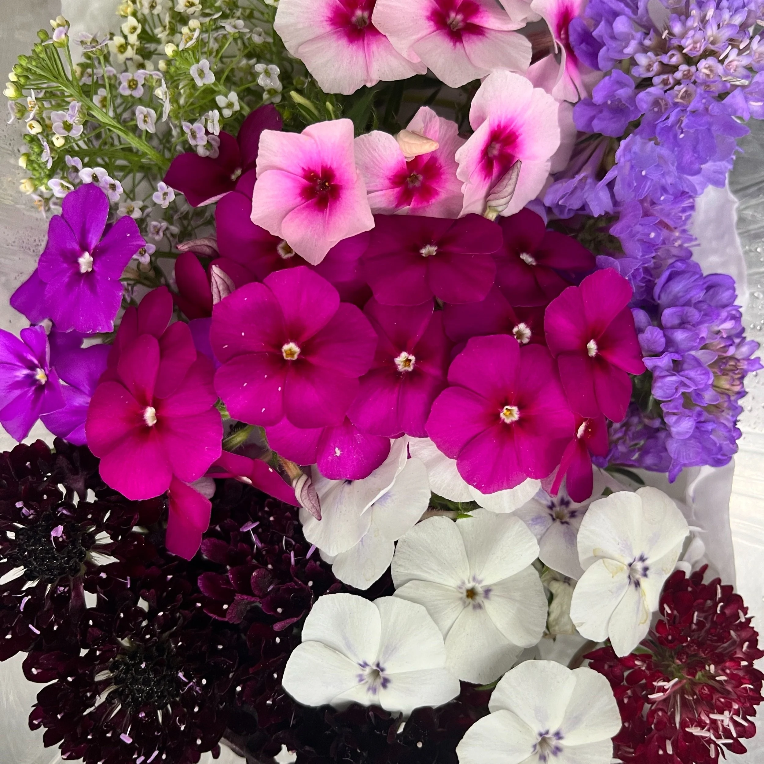 Mix+Edible+Flowers.jpg
