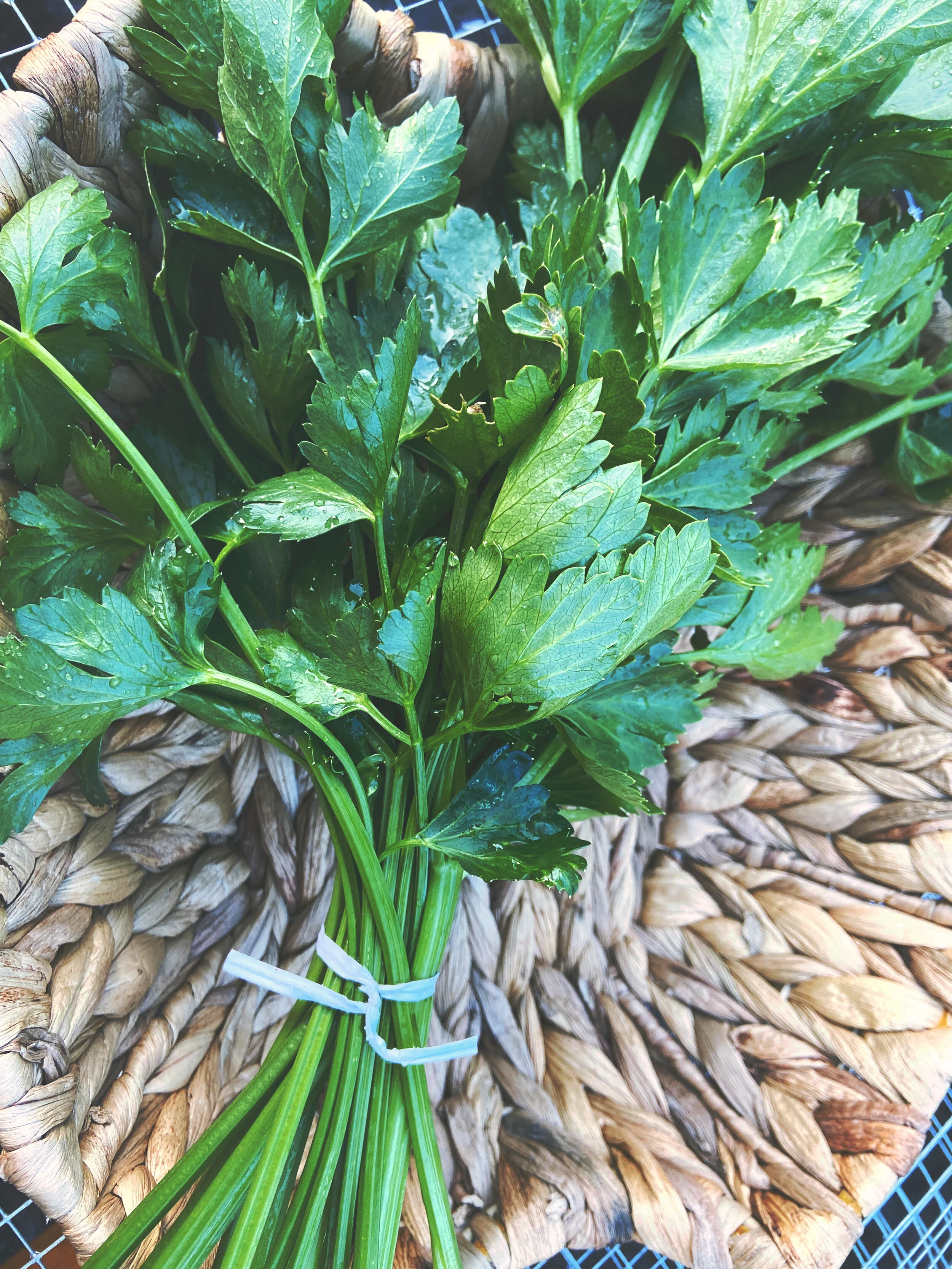 8F3FD483-8145-443D-946B-88537B04B6D4